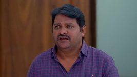 Nindu Manasulu (Star Maa) S01 E375 Gana's Fury Against Siddharth Nindu Manasulu (Star Maa) S01 E375 Gana's Fury Against Siddharth