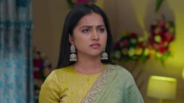 Podarillu S01 E209 Narayana Provokes Thayaaru
