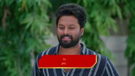 Podarillu S01 E216 Chakri Finds a Way Out Podarillu S01 E216 Chakri Finds a Way Out