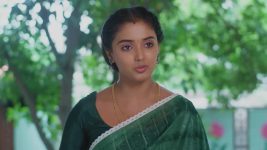 Salangai Oli (Zee Tamil) S01 E700 14th September 2026