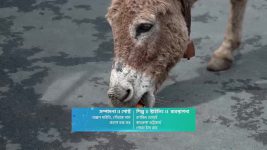 Sangsarer Sangkirtan (Star Jalsha) S01 E151 Shanti's Love for Animals Sparks