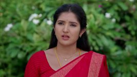 Vaarasuralu (Star Maa) S01 E205 Saketh's Demand to Maithili Vaarasuralu (Star Maa) S01 E205 Saketh's Demand to Maithili