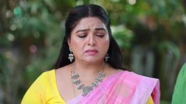 Varisu (Zee Tamil) S01 E379 10th September 2026